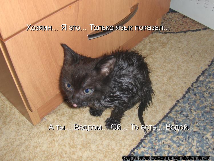 Хозяин... Я это... Только язык показал... А ты... Ведром... Ой... То есть... Водой...... Котоматрица: Хозяин... Я это... Только язык показал... А ты... Ведром... Ой... То есть... Водой...