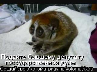 Подайте бывшему депутату госсударственной думы... Котоматрица: Подайте бывшему депутату госсударственной думы