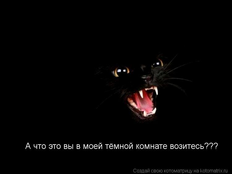 А что это вы в моей тёмной комнате возитесь???... Котоматрица: А что это вы в моей тёмной комнате возитесь???