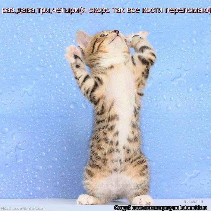 раз,дава,три,четыри(я скоро так все кости переломаю!!!) раз,дава,три,четыри(я скоро так все кости пер... Котоматрица: раз,дава,три,четыри(я скоро так все кости переломаю!!!) раз,дава,три,четыри(я скоро так все кости переломаю)