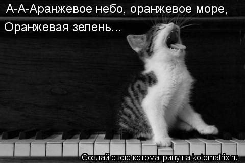 А-А-Аранжевое небо, оранжевое море, Оранжевая зелень...... Котоматрица: А-А-Аранжевое небо, оранжевое море, Оранжевая зелень...