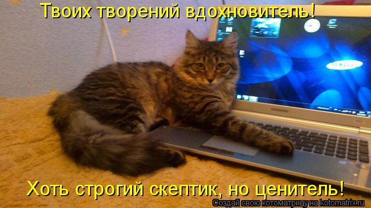 Хоть строгий скептик, но ценитель! Твоих творений вдохновитель!... Котоматрица: Хоть строгий скептик, но ценитель! Твоих творений вдохновитель!