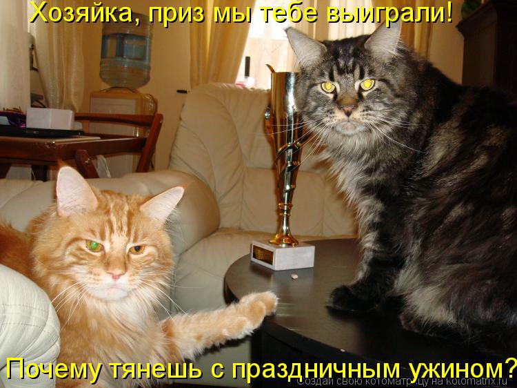 Хозяйка, приз мы тебе выиграли! Почему тянешь с праздничным ужином?!?... Котоматрица: Хозяйка, приз мы тебе выиграли! Почему тянешь с праздничным ужином?!?