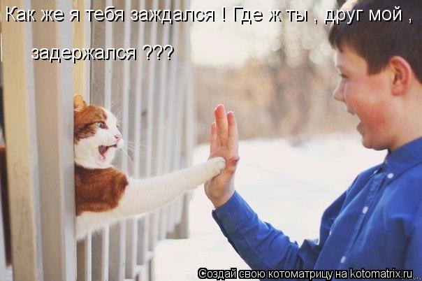 Как же я тебя заждался ! Где ж ты , друг мой , задержался ???... Котоматрица: Как же я тебя заждался ! Где ж ты , друг мой , задержался ???