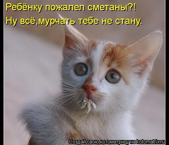 Ребёнку пожалел сметаны?! Ну всё,мурчать тебе не стану.... Котоматрица: Ребёнку пожалел сметаны?! Ну всё,мурчать тебе не стану.