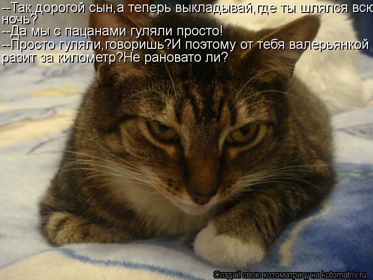 --Так,дорогой сын,а теперь выкладывай,где ты шлялся всю ночь? --Да мы с пацанами гуляли просто! --Про... Котоматрица: --Так,дорогой сын,а теперь выкладывай,где ты шлялся всю ночь? --Да мы с пацанами гуляли просто! --Просто гуляли,говоришь?И поэтому от тебя вале