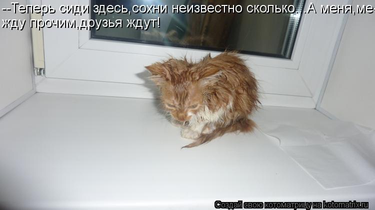 --Теперь сиди здесь,сохни неизвестно сколько...А меня,ме- жду прочим,друзья ждут!... Котоматрица: --Теперь сиди здесь,сохни неизвестно сколько...А меня,ме- жду прочим,друзья ждут!