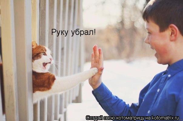 Руку убрал!... Котоматрица: Руку убрал!