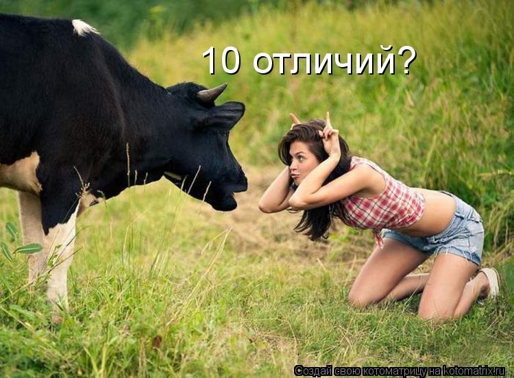 10 отличий?... Котоматрица: 10 отличий?