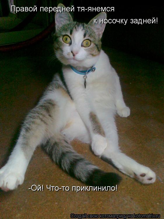 Правой передней тя-янемся к носочку задней! -Ой! Что-то приклинило!... Котоматрица: Правой передней тя-янемся к носочку задней! -Ой! Что-то приклинило!