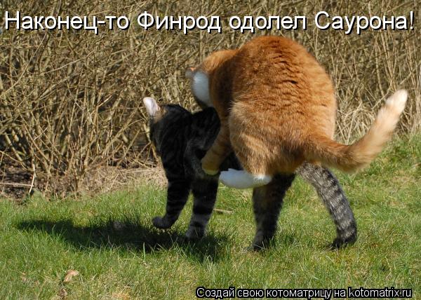 Наконец-то Финрод одолел Саурона!... Котоматрица: Наконец-то Финрод одолел Саурона!