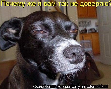 Почему же я вам так не доверяю?... Котоматрица: Почему же я вам так не доверяю?