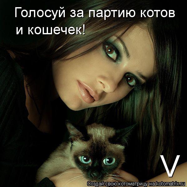 Голосуй за партию котов и кошечек! V... Котоматрица: Голосуй за партию котов и кошечек! V