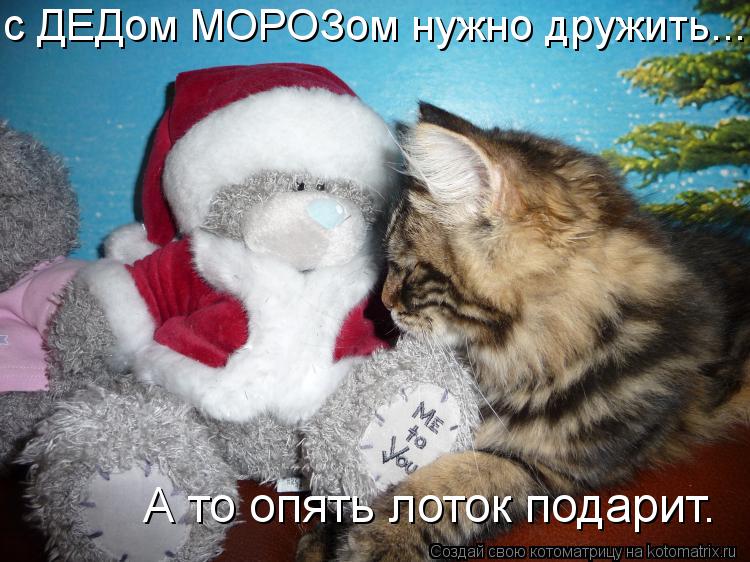 с ДЕДом МОРОЗом нужно дружить.... А то опять лоток подарит.... Котоматрица: с ДЕДом МОРОЗом нужно дружить.... А то опять лоток подарит.