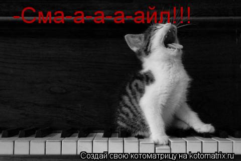 -Сма-а-а-а-айл!!!... Котоматрица: -Сма-а-а-а-айл!!!