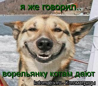 я же говорил.. ворельянку котам дают... Котоматрица: я же говорил.. ворельянку котам дают