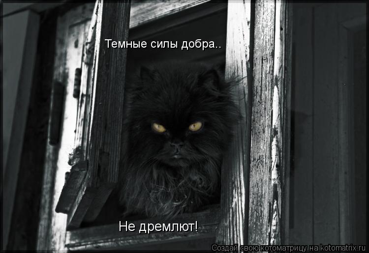 Темные силы добра.. Не дремлют!... Котоматрица: Темные силы добра.. Не дремлют!