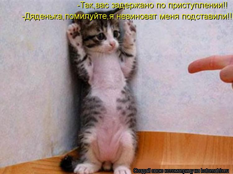 -Так,вас задержано по приступлении!! -Дяденька,помилуйте,я невиноват меня подставили!!!... Котоматрица: -Так,вас задержано по приступлении!! -Дяденька,помилуйте,я невиноват меня подставили!!!