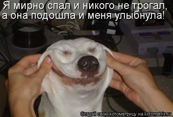 Я мирно спал и никого не трогал, а она подошла и меня улыбнула!... Котоматрица: Я мирно спал и никого не трогал, а она подошла и меня улыбнула!