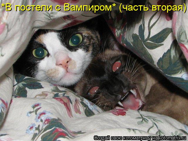*В постели с Вампиром* (часть вторая)... Котоматрица: *В постели с Вампиром* (часть вторая)