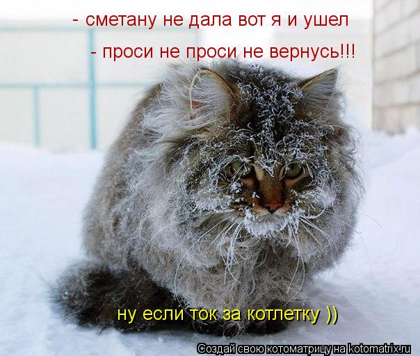 сметану не дала вот я и ушел - проси не проси не вернусь!!! - ну если ток за котлетку ))... Котоматрица: сметану не дала вот я и ушел - проси не проси не вернусь!!! - ну если ток за котлетку ))