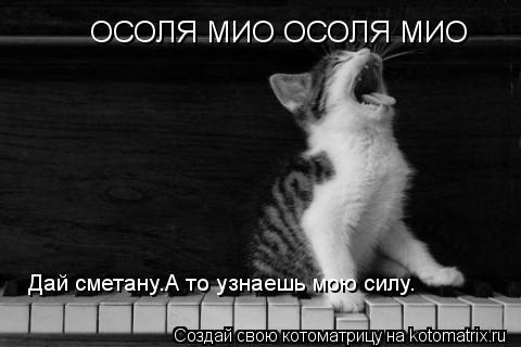 ОСОЛЯ МИО ОСОЛЯ МИО ОСОЛЯ МИО ОСОЛЯ МИО Дай сметану.А то узнаешь мою силу.... Котоматрица: ОСОЛЯ МИО ОСОЛЯ МИО ОСОЛЯ МИО ОСОЛЯ МИО Дай сметану.А то узнаешь мою силу.