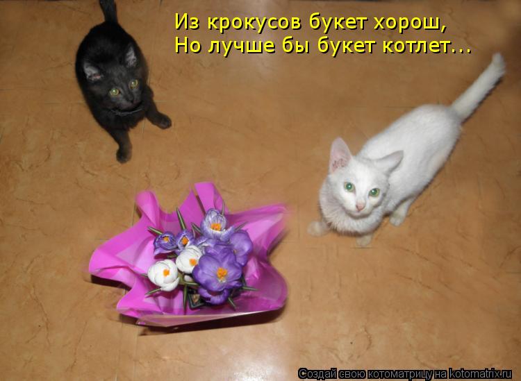 Из крокусов букет хорош, Но лучше бы букет котлет...... Котоматрица: Из крокусов букет хорош, Но лучше бы букет котлет...