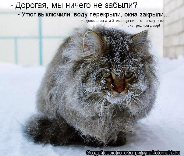 - Дорогая, мы ничего не забыли? - Утюг выключили, воду перекрыли, окна закрыли... - Надеюсь, за эти ... Котоматрица: - Дорогая, мы ничего не забыли? - Утюг выключили, воду перекрыли, окна закрыли... - Надеюсь, за эти 3 месяца ничего не случится... - Пока, родной дв