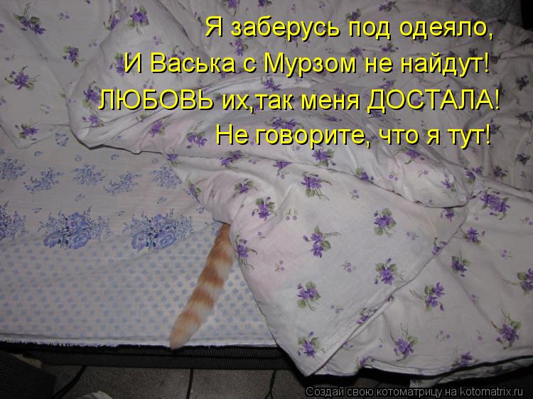 ЛЮБОВЬ их,так меня ДОСТАЛА! Не говорите, что я тут! Я заберусь под одеяло, И Васька с Мурзом не найду... Котоматрица: ЛЮБОВЬ их,так меня ДОСТАЛА! Не говорите, что я тут! Я заберусь под одеяло, И Васька с Мурзом не найдут!