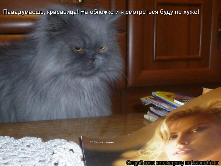 Пааадумаешь, красавица! На обложке и я смотреться буду не хуже!... Котоматрица: Пааадумаешь, красавица! На обложке и я смотреться буду не хуже!