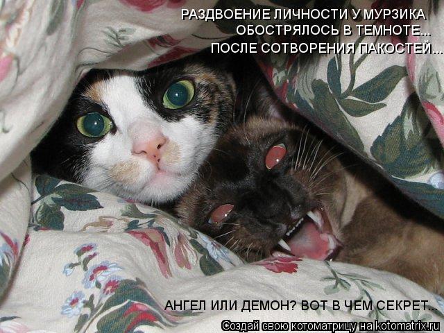 РАЗДВОЕНИЕ ЛИЧНОСТИ У МУРЗИКА ОБОСТРЯЛОСЬ В ТЕМНОТЕ... ПОСЛЕ СОТВОРЕНИЯ ПАКОСТЕЙ... АНГЕЛ ИЛИ ДЕМОН?... Котоматрица: РАЗДВОЕНИЕ ЛИЧНОСТИ У МУРЗИКА ОБОСТРЯЛОСЬ В ТЕМНОТЕ... ПОСЛЕ СОТВОРЕНИЯ ПАКОСТЕЙ... АНГЕЛ ИЛИ ДЕМОН? ВОТ В ЧЕМ СЕКРЕТ...
