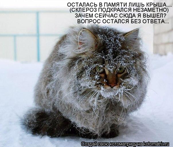 ОСТАЛАСЬ В ПАМЯТИ ЛИШЬ КРЫША.... (СКЛЕРОЗ ПОДКРАЛСЯ НЕЗАМЕТНО) ЗАЧЕМ СЕЙЧАС СЮДА Я ВЫШЕЛ? ВОПРОС ОСТА... Котоматрица: ОСТАЛАСЬ В ПАМЯТИ ЛИШЬ КРЫША.... (СКЛЕРОЗ ПОДКРАЛСЯ НЕЗАМЕТНО) ЗАЧЕМ СЕЙЧАС СЮДА Я ВЫШЕЛ? ВОПРОС ОСТАЛСЯ БЕЗ ОТВЕТА...
