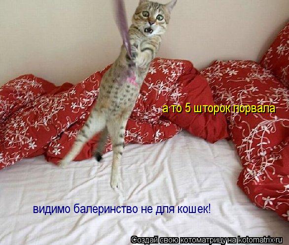 видимо балеринство не для кошек! а то 5 шторок порвала... Котоматрица: видимо балеринство не для кошек! а то 5 шторок порвала