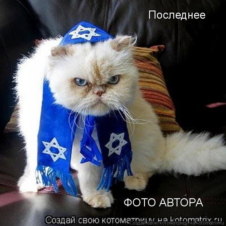 Последнее ФОТО АВТОРА... Котоматрица: Последнее ФОТО АВТОРА