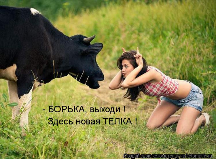 - БОРЬКА, выходи ! Здесь новая ТЕЛКА !... Котоматрица: - БОРЬКА, выходи ! Здесь новая ТЕЛКА !