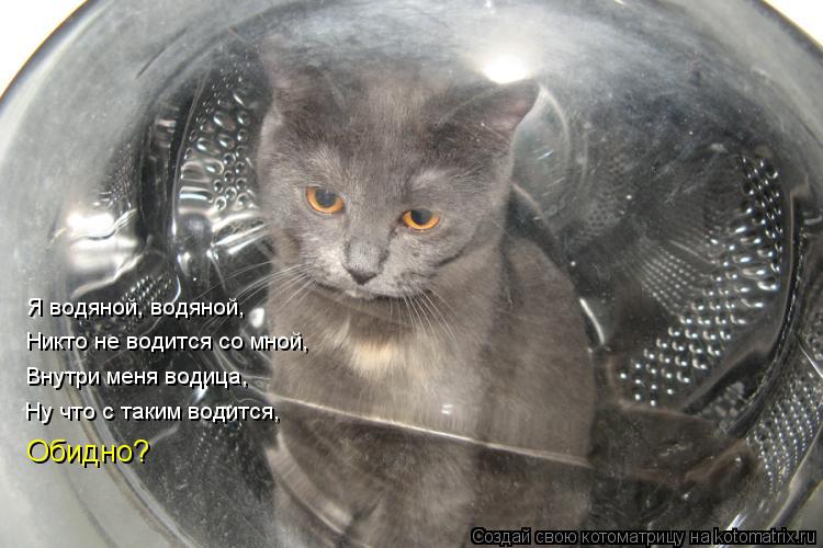 Я водяной, водяной, Никто не водится со мной, Внутри меня водица, Ну что с таким водится, Обидно?... Котоматрица: Я водяной, водяной, Никто не водится со мной, Внутри меня водица, Ну что с таким водится, Обидно?