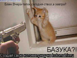 Блин.Вчера-тапок,сегодня-ствол,а завтра? БАЗУКА?!... Котоматрица: Блин.Вчера-тапок,сегодня-ствол,а завтра? БАЗУКА?!
