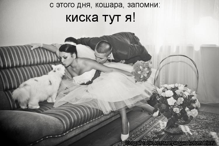 с этого дня, кошара, запомни: киска тут я!... Котоматрица: с этого дня, кошара, запомни: киска тут я!