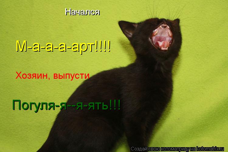 Начался М-а-а-а-арт!!!! Хозяин, выпусти Погуля-я--я-ять!!!... Котоматрица: Начался М-а-а-а-арт!!!! Хозяин, выпусти Погуля-я--я-ять!!!
