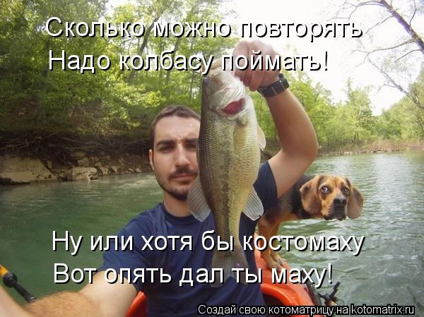 Сколько можно повторять Надо колбасу поймать! Ну или хотя бы костомаху Вот опять дал ты маху!... Котоматрица: Сколько можно повторять Надо колбасу поймать! Ну или хотя бы костомаху Вот опять дал ты маху!