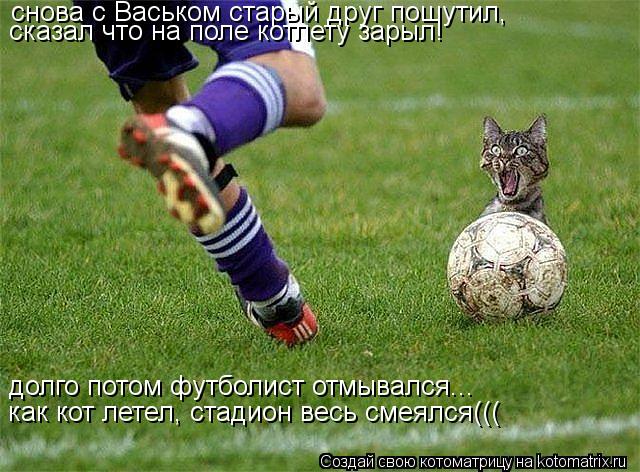 снова с Васьком старый друг пошутил, сказал что на поле котлету зарыл! долго потом футболист отмывалс... Котоматрица: снова с Васьком старый друг пошутил, сказал что на поле котлету зарыл! долго потом футболист отмывался... как кот летел, стадион весь смеялся
