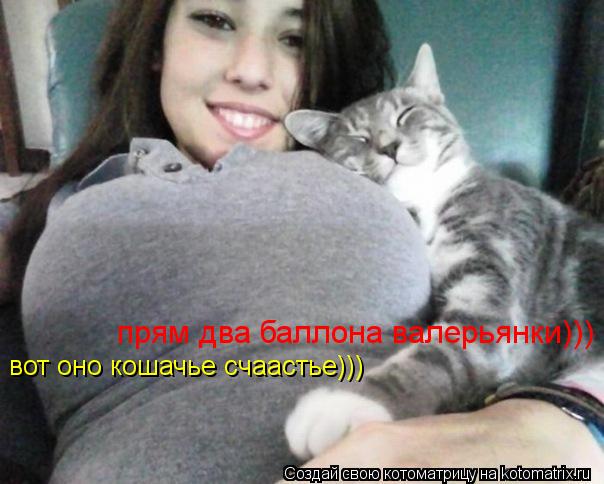 Котоматрица: вот оно кошачье счаастье))) вот оно кошачье счаастье))) прям два баллона валерьянки)))