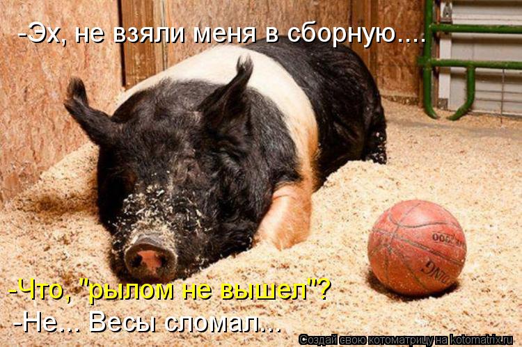 -Эх, не взяли меня в сборную.... -Что, "рылом не вышел"? -Не... Весы сломал...... Котоматрица: -Эх, не взяли меня в сборную.... -Что, "рылом не вышел"? -Не... Весы сломал...