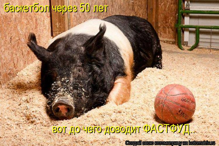 Котоматрица: баскетбол через 50 лет вот до чего доводит ФАСТФУД.. вот до чего доводит ФАСТФУД..