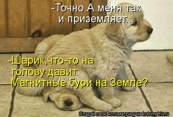 -Шарик,что-то на голову давит. Магнитные бури на Земле? -Точно.А меня так и приземляет...... Котоматрица: -Шарик,что-то на голову давит. Магнитные бури на Земле? -Точно.А меня так и приземляет...