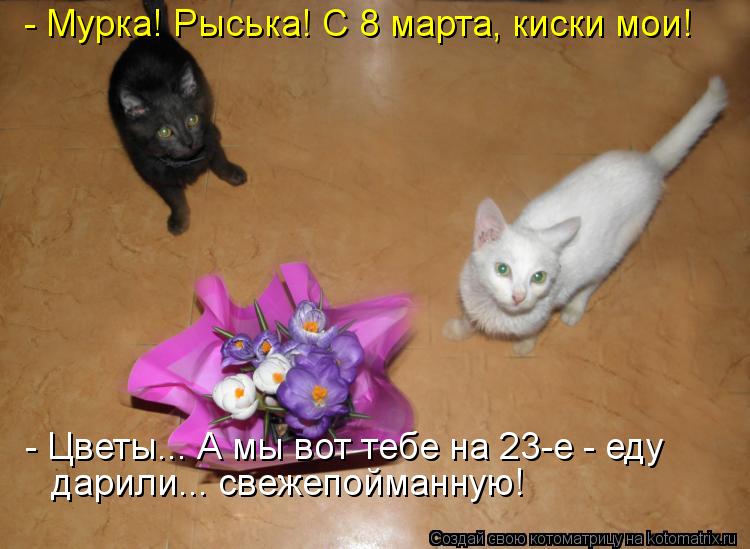 - Мурка! Рыська! С 8 марта, киски мои! - Цветы... А мы вот тебе на 23-е - еду дарили... свежепойманн... Котоматрица: - Мурка! Рыська! С 8 марта, киски мои! - Цветы... А мы вот тебе на 23-е - еду дарили... свежепойманную!
