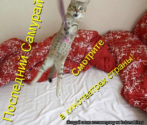 Смотрите в кинотеатрах страны! Последний Самурай... Котоматрица: Смотрите в кинотеатрах страны! Последний Самурай