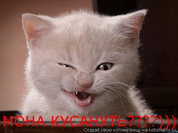 МОНА КУСАНУТЬ????))))... Котоматрица: МОНА КУСАНУТЬ????))))
