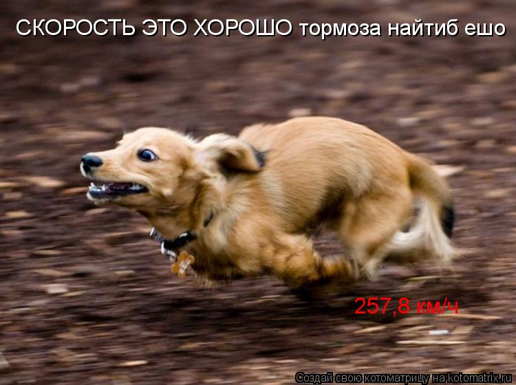 СКОРОСТЬ ЭТО ХОРОШО тормоза найтиб ешо 257,8 км/ч... Котоматрица: СКОРОСТЬ ЭТО ХОРОШО тормоза найтиб ешо 257,8 км/ч