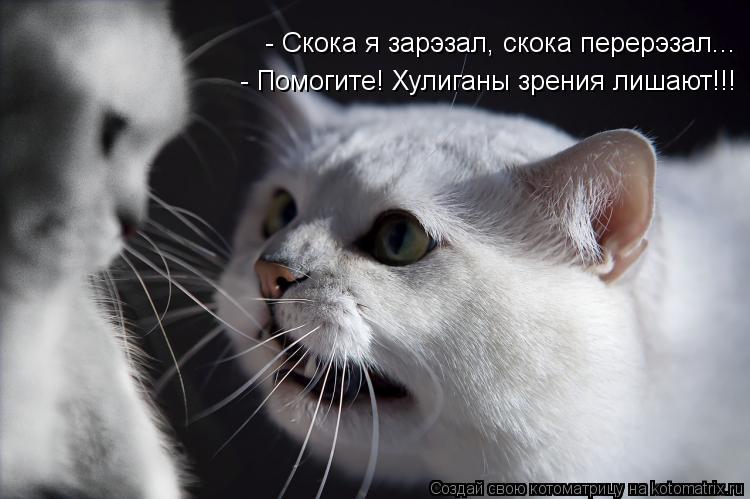 - Скока я зарэзал, скока перерэзал... - Помогите! Хулиганы зрения лишают!!!... Котоматрица: - Скока я зарэзал, скока перерэзал... - Помогите! Хулиганы зрения лишают!!!